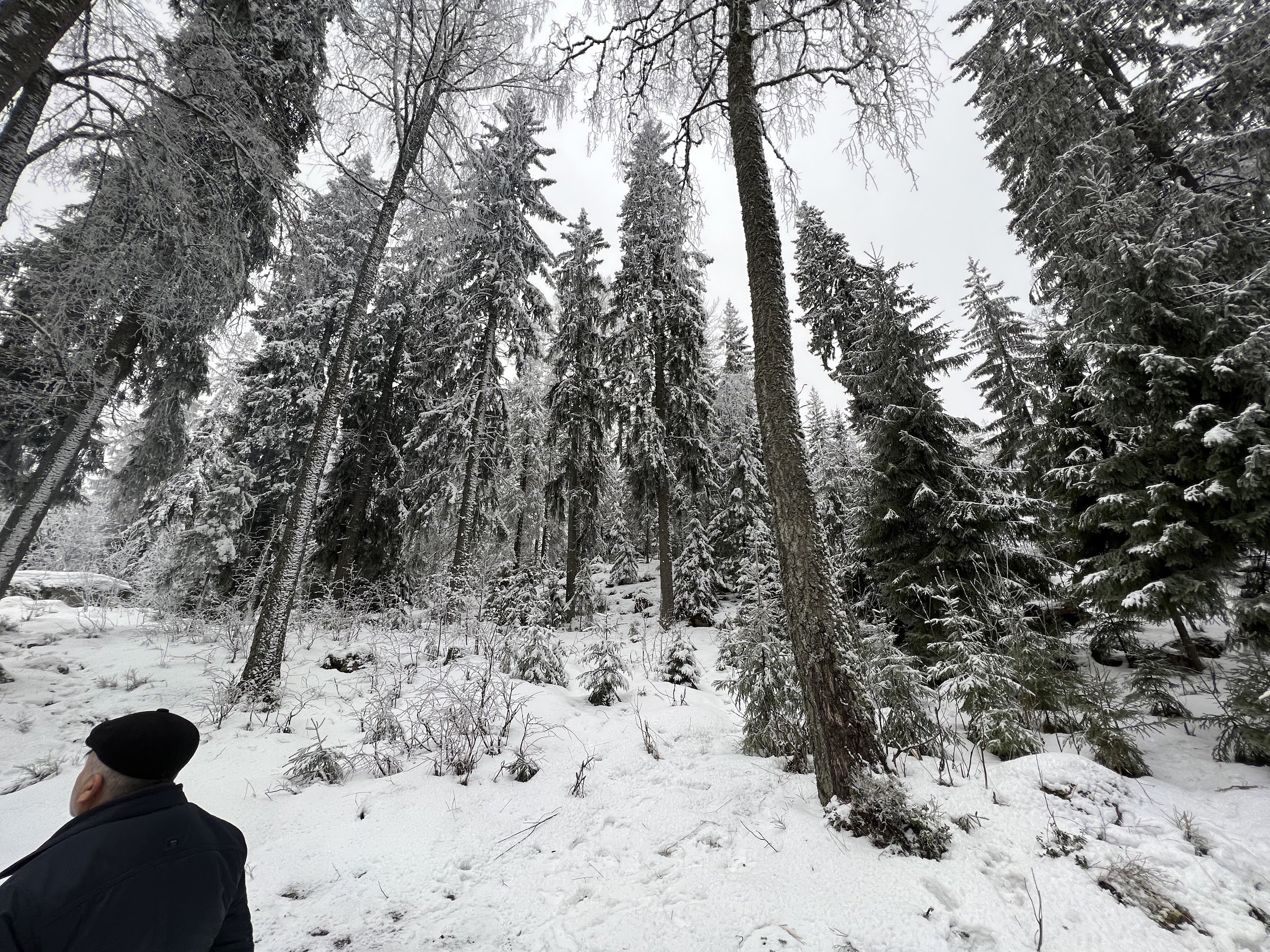 Kattilaniemen leirikeskus